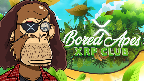Reg03 – Bored Apes XRP Club, the project that will make you $BAYNANA 🍌